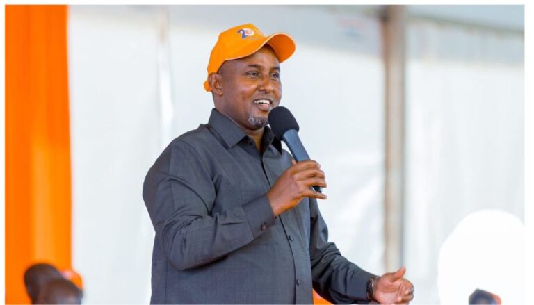 Suna East MP Junet Mohamed has explained why the ODM Party was quick to install Oburu Oginga as its new party leader after Raila Odinga's death. 