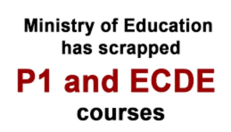 The Ministry of Education has officially scrapped the stand-alone Diploma in Early Childhood Teacher Education (DECTE).