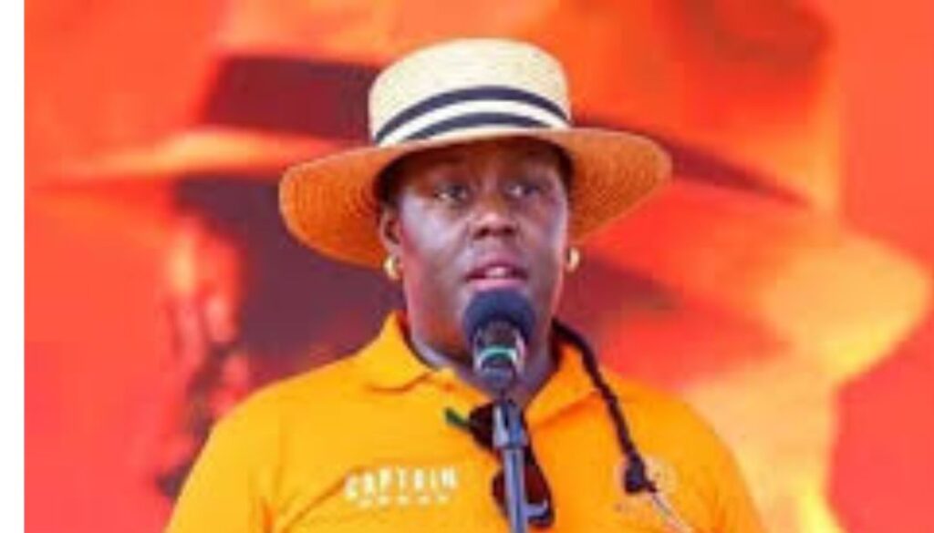 ODM members are being forced to declare loyalty to government; Winnie Odinga