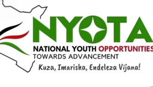 The National Youth Opportunities Towards Advancement (NYOTA) has opened applications for the On-the-Job Experience (workplace learning) programme.