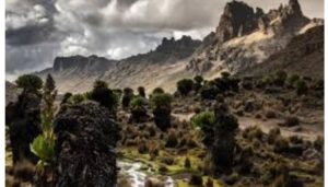 Kenya Wildlife Service (KWS) has located Samuel Macharia Wanjohi, a porter who had been missing during a trek of Mt Kenya 18 days ago.