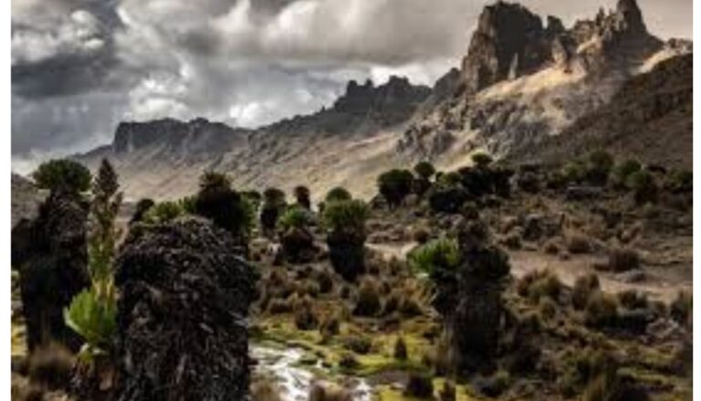 Kenya Wildlife Service (KWS) has located Samuel Macharia Wanjohi, a porter who had been missing during a trek of Mt Kenya 18 days ago.