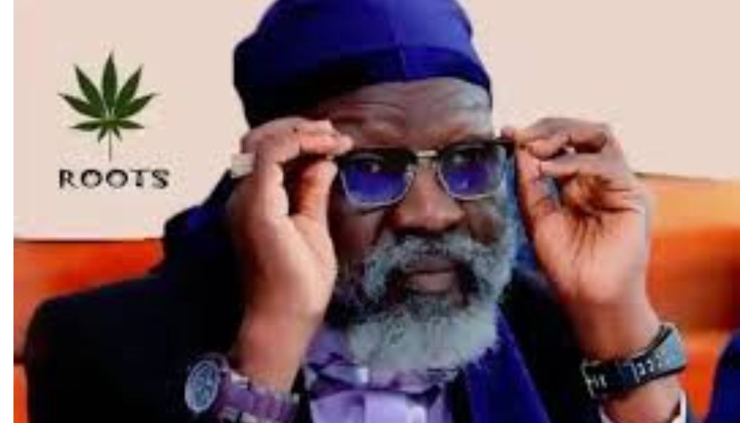 Marijuana policy still on the table; Wajackoyah on 2027 presidency