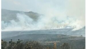 KDF helicopters deployed after fire breaks out in a forest, Taita Taveta
