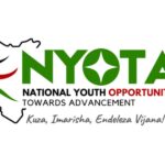 Government announces NYOTA Fund application deadline