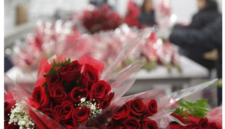 The Directorate of Criminal Investigations (DCI) has put the Kenyan public on notice as the world marks the Valentine's Day.