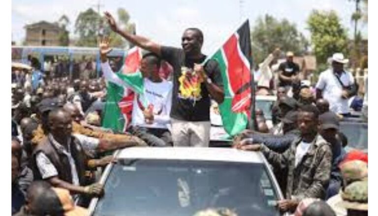 Police in Kakamega have arrested 14 goons suspected of causing chaos during the Linda Mwananchi rally in Kakamega County.