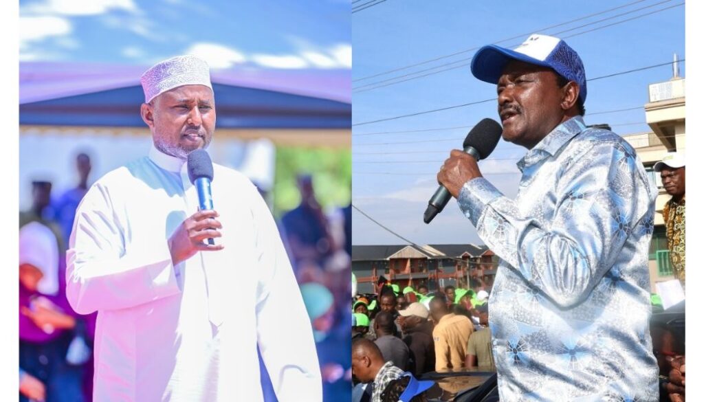 Junet Mohamed has objected to the revival of the Azimio La Umoja Coalition Party and the appointment of Wiper leader Kalonzo Musyoka as its leader.