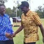 Siaya governor James Orengo has attended an event graced by President William Ruto despite their political differences.
