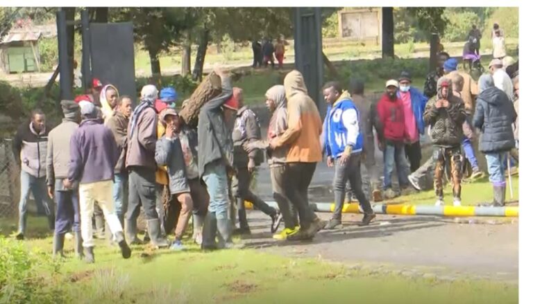 Protest erupts as locals oppose private cemetery in Nyandarua County