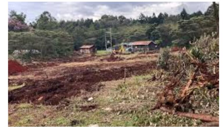 The Ministry of Environment has explained the clearing of a section of trees inside Karura Forest.