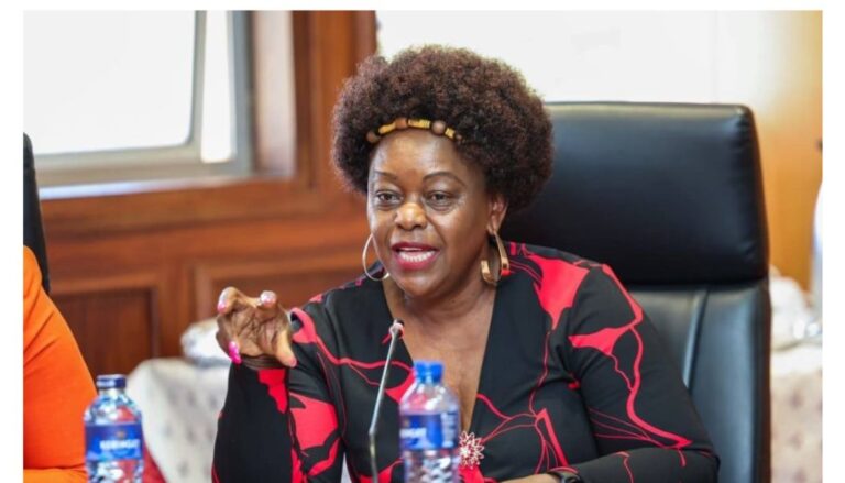 MP Millie Odhiambo issues warning after goons raid Nyakera, Tuju properties