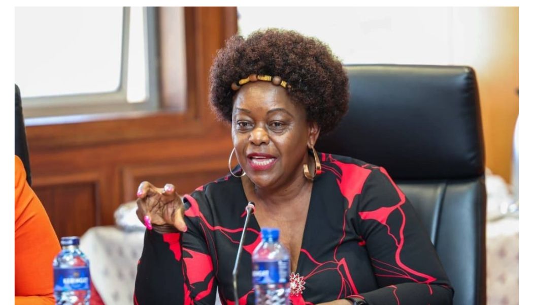 MP Millie Odhiambo issues warning after goons raid Nyakera, Tuju properties