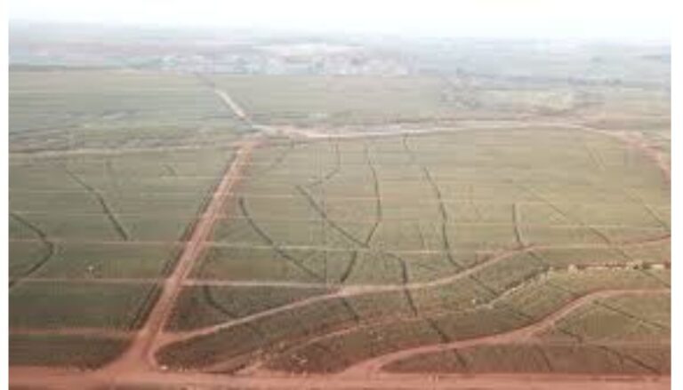 Democratic Party (DP) Leader Justin  Muturi, has raised alarm over a land-grabbing scheme involving portions of the Del Monte land in Murang’a County.