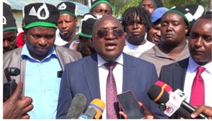 MP Koimburi wants MPs to speak mother tongue in House debates