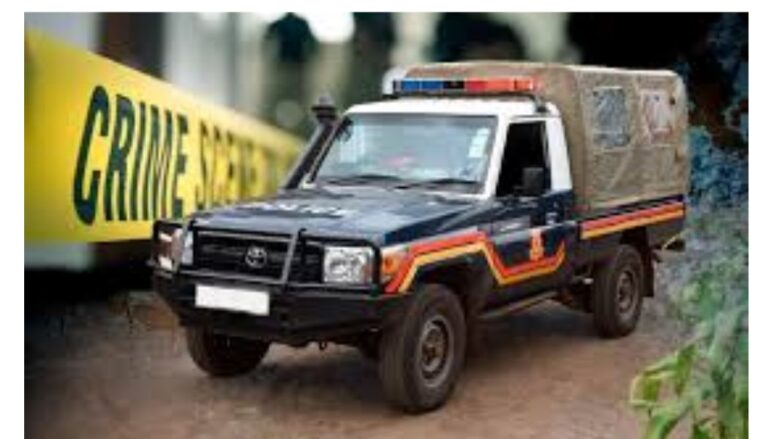 A man from Kericho County has been charged with the murder of his 100-year-old mother in a shocking case was driven by an inheritance dispute.