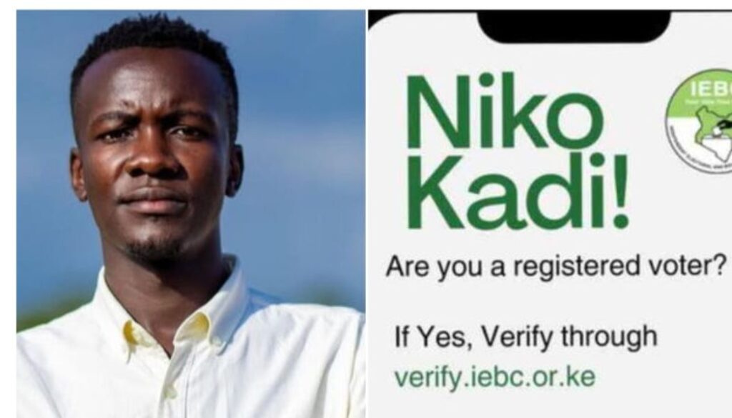 Allans Ademba, the activist behind the 'Niko Kadi' slogan, has hit out at President William Ruto over jumping on the phrase.