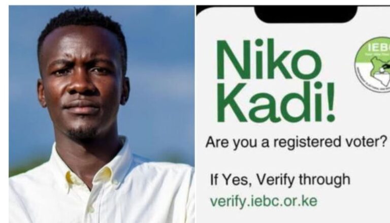 Allans Ademba, the activist behind the 'Niko Kadi' slogan, has hit out at President William Ruto over jumping on the phrase.