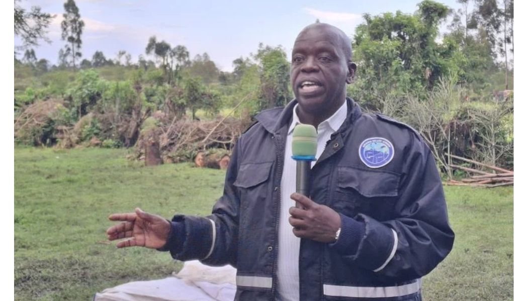 Keter wins UDA ticket in Emurua Dikirr by-election