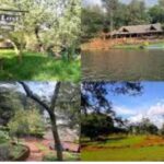 CS Murkomen, Sudi and Kururia accused of invading Ksh 20 billion land in Runda with armed goons