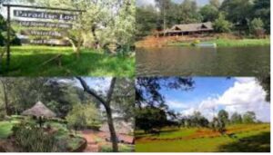 CS Murkomen, Sudi and Kururia accused of invading Ksh 20 billion land in Runda with armed goons