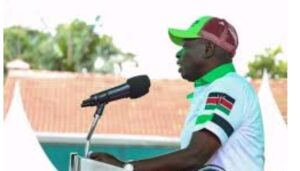 The Democracy for Citizens Party (DCP) has announced it will also field a candidate in the Ol Kalou by-election.