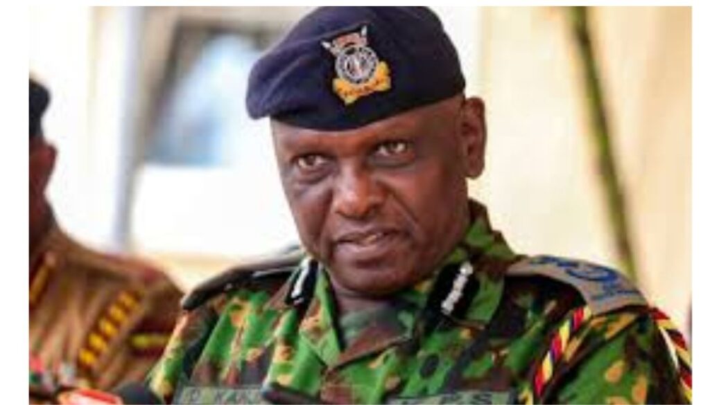 IG Kanja recalls Ishiara OCS after two shot dead during Embu protests