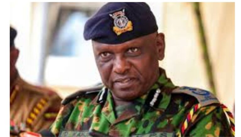 IG Kanja recalls Ishiara OCS after two shot dead during Embu protests