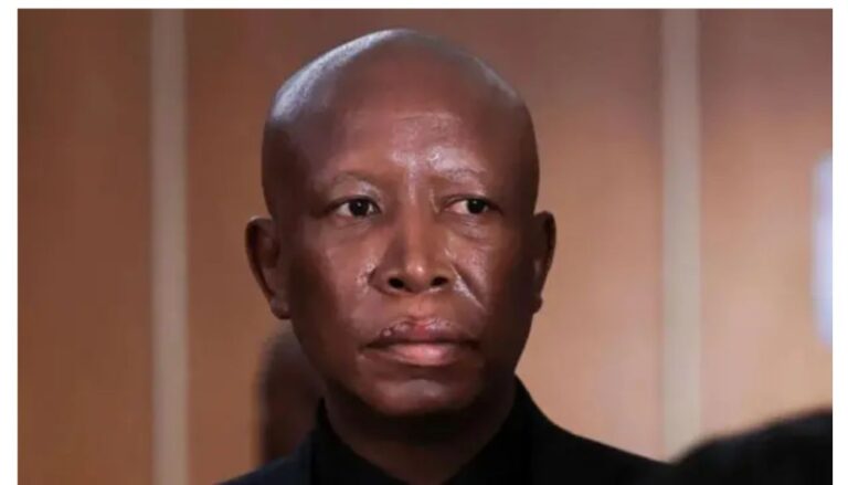 South African opposition leader Julius Malema sentenced to 5 years in prison