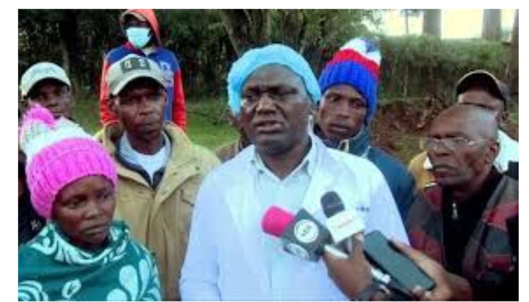 Autopsy reveals man arrested by KFS officers collecting firewood was beaten to death