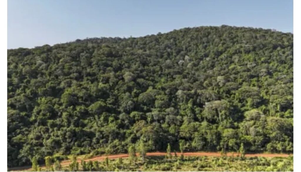 US eyes Kenya for major minerals deal following Ksh8.1 trillion Mrima Hill tender