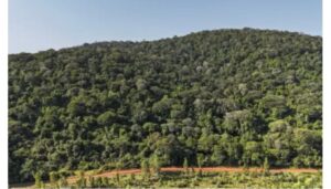 US eyes Kenya for major minerals deal following Ksh8.1 trillion Mrima Hill tender