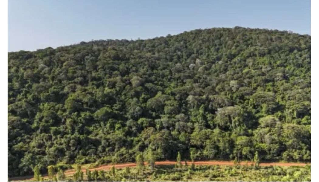 US eyes Kenya for major minerals deal following Ksh8.1 trillion Mrima Hill tender