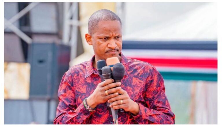 Embakasi East MP Babu Owino has claimed that his security officer is being targeted by investigators ahead of a planned political rally in Kisumu.