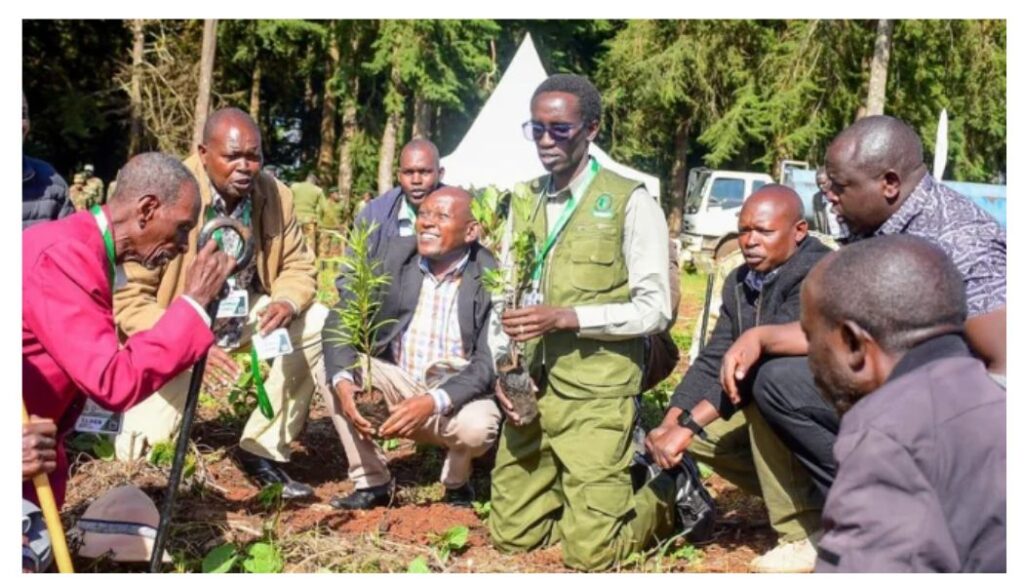 Hillary Kiplagat Kibiwott, the Kenyan who broke the world record by planting 23,326 trees in 24 hours, has been gifted a brand new car. 