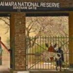 The Narok County government has dismissed allegations of tourists being detained at the Muthu Keekorok Lodge in the Maasai Mara National Reserve.