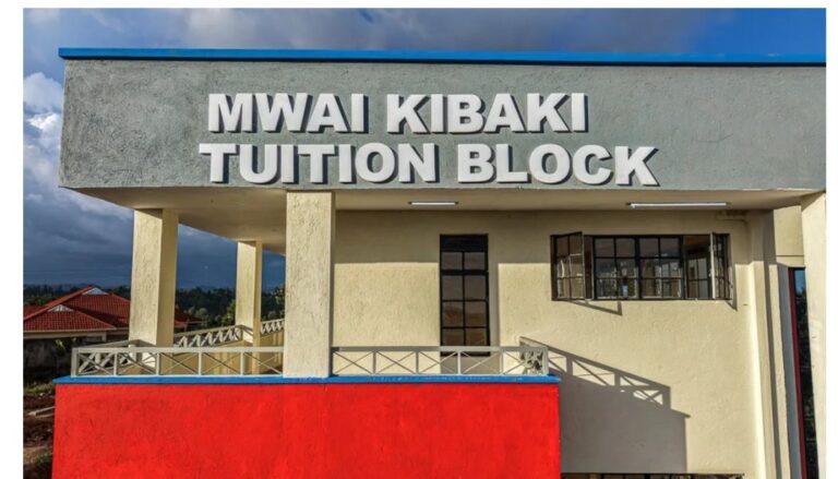 President Ruto accused of relaunching Kiharu TVC project previously opened by MP Ndindi Nyoro