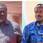 Prime Cabinet Secretary Musalia Mudavadi has faulted Wiper Party Leader Kalonzo Musyoka after he dismissed the Africa Forward Summit in Nairobi.