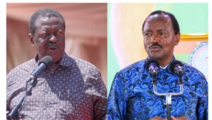 Prime Cabinet Secretary Musalia Mudavadi has faulted Wiper Party Leader Kalonzo Musyoka after he dismissed the Africa Forward Summit in Nairobi.