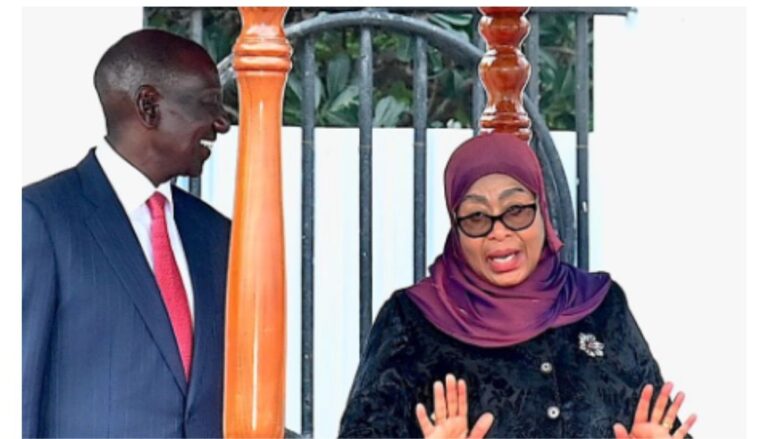 President Suluhu appeals to Ruto for collaboration on how to deal with Gen Zs