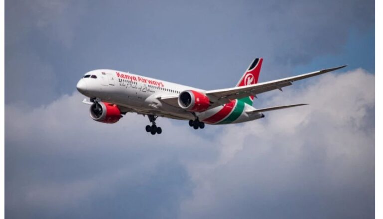 Kenya Airways plane returns to Entebbe after bird strike