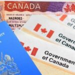Refugees stranded in Kenya after Canadian company cancels job offers