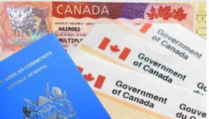 Refugees stranded in Kenya after Canadian company cancels job offers