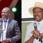 Ruto leads with 24 percent, Kalonzo at 19 percent as most preferred presidential candidate; TIFA