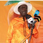 Broad-based gov't has secured economic stability; Oburu Oginga