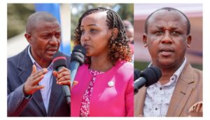 Senator Maanzo apologises to Mutula Kilonzo's wife over 'doctored' audio clip