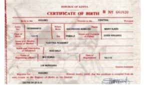 The government has announced immediate changes to the issuance of birth certificates, with Kenyans now able to download and print the critical document online.