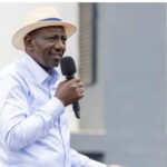 Some people are saying that I work too much and that I should take a holiday - William Ruto
