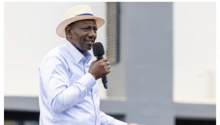 Some people are saying that I work too much and that I should take a holiday - William Ruto