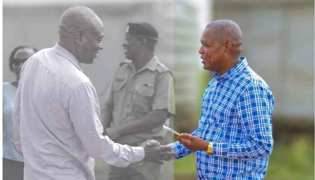 MP Mwengi Mutuse's brother, sister-in-law killed in road accident